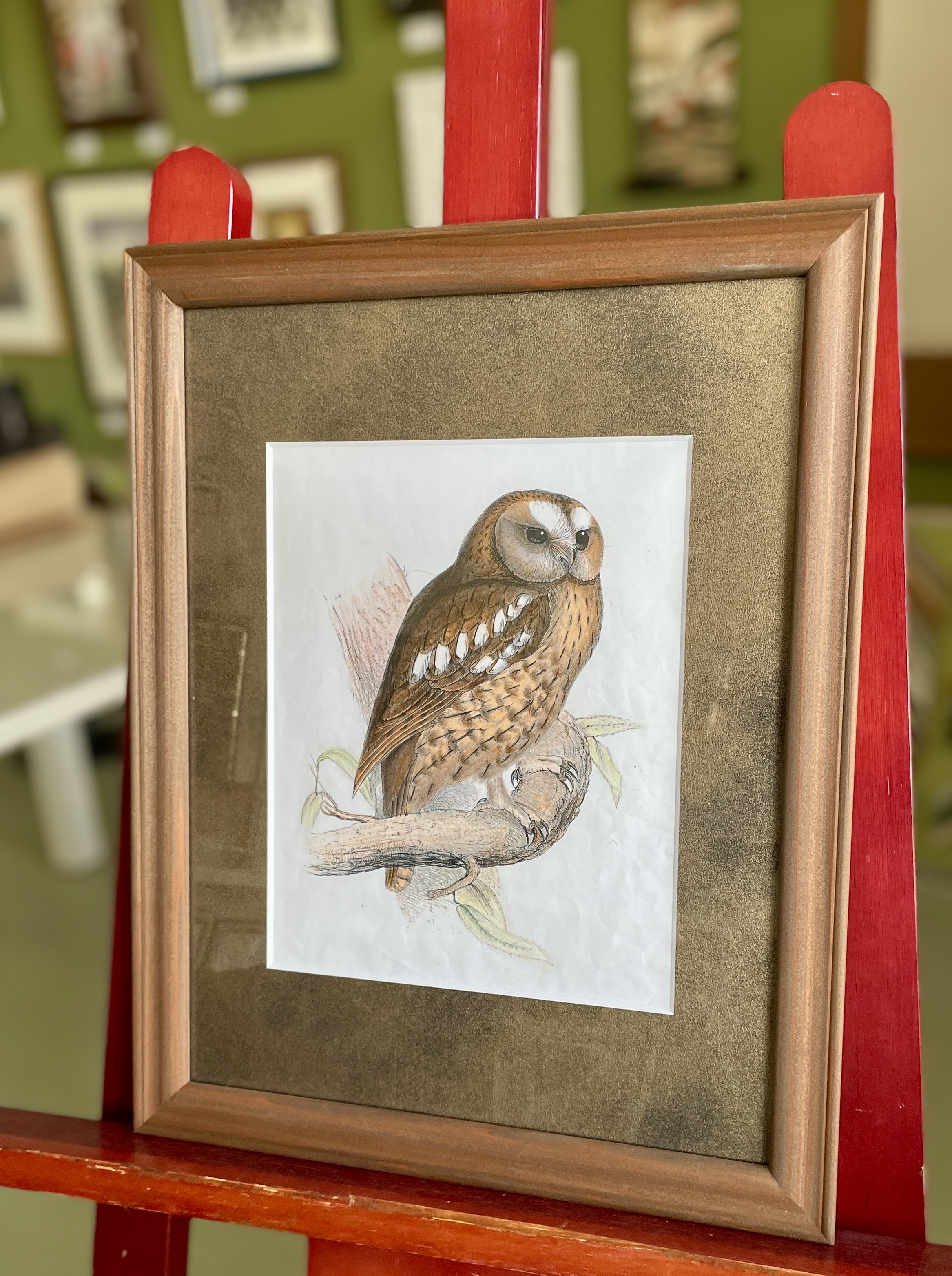 62A7DB20 26CF 42B8 B170 DFB8596D9AA4