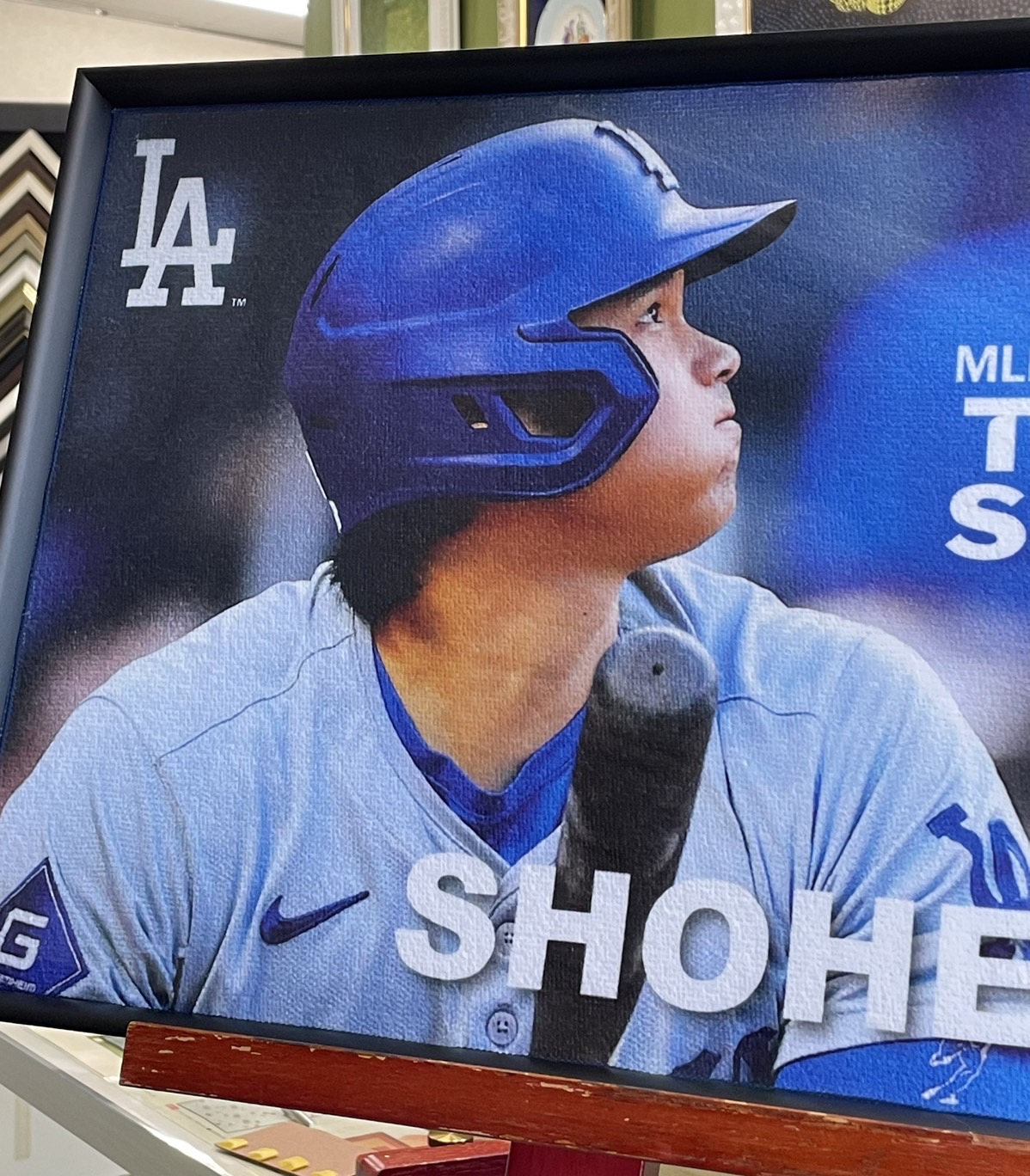 otani6
